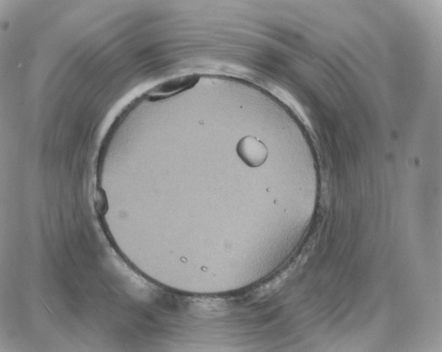 X0000087701136200706011738