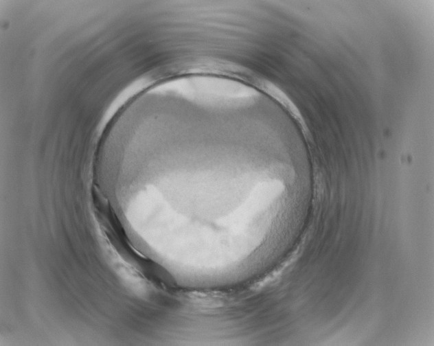 X0000087701138200706011738