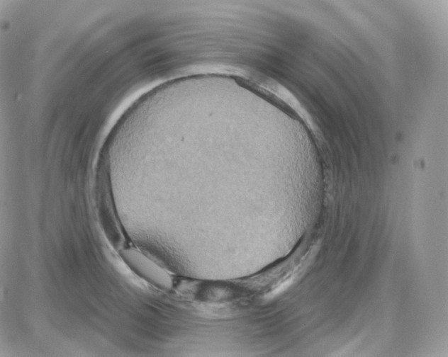 X0000087701140200706011738