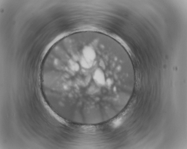 X0000087701142200706011738