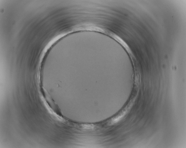 X0000087701144200706011738