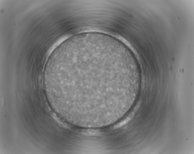 X0000087701145200706011738