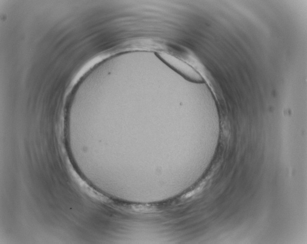 X0000087701147200706011738