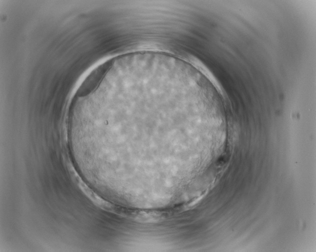 X0000087701148200706011738