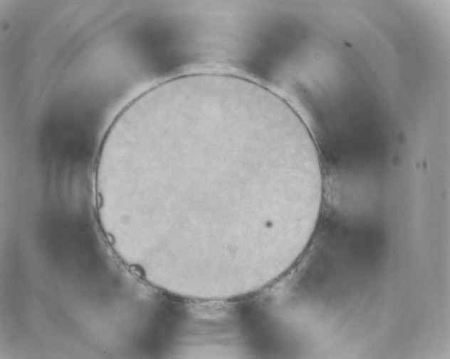 X0000087701150200706011738