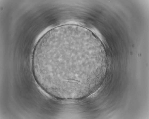 X0000087701151200706011738