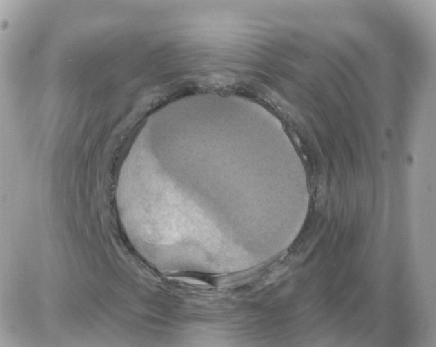 X0000087701153200706011737