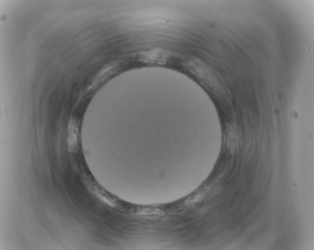 X0000087701154200706011737