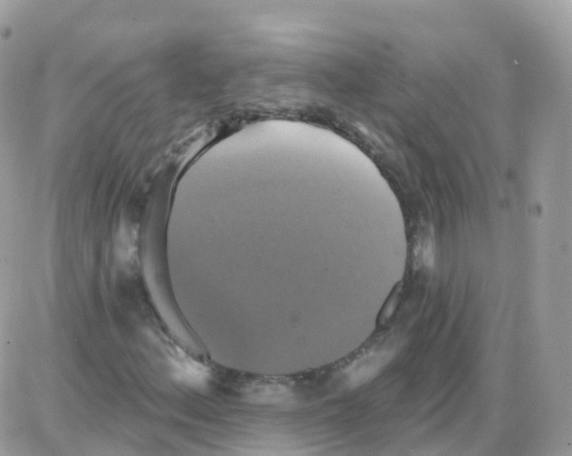 X0000087701156200706011737