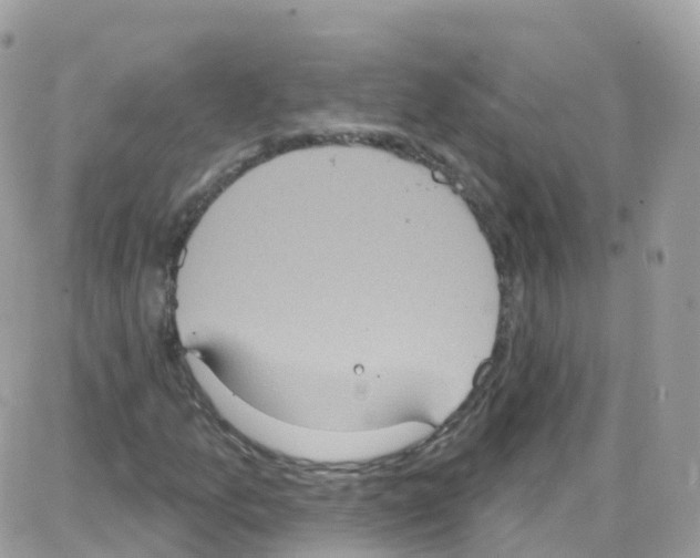 X0000087701157200706011737