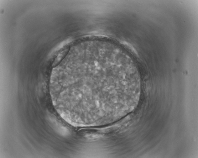 X0000087701159200706011737