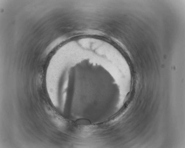 X0000087701163200706011737