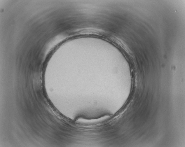 X0000087701164200706011737