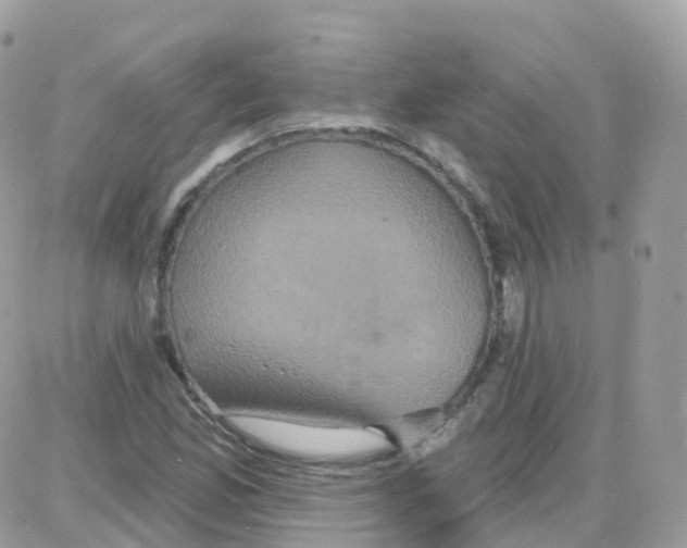 X0000087701165200706011737