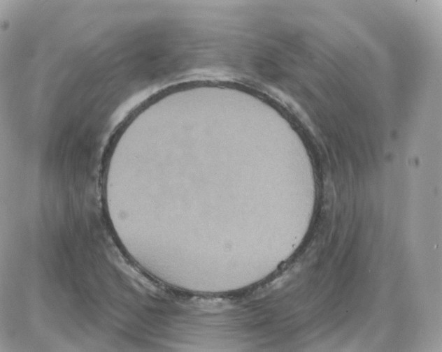 X0000087701168200706011737