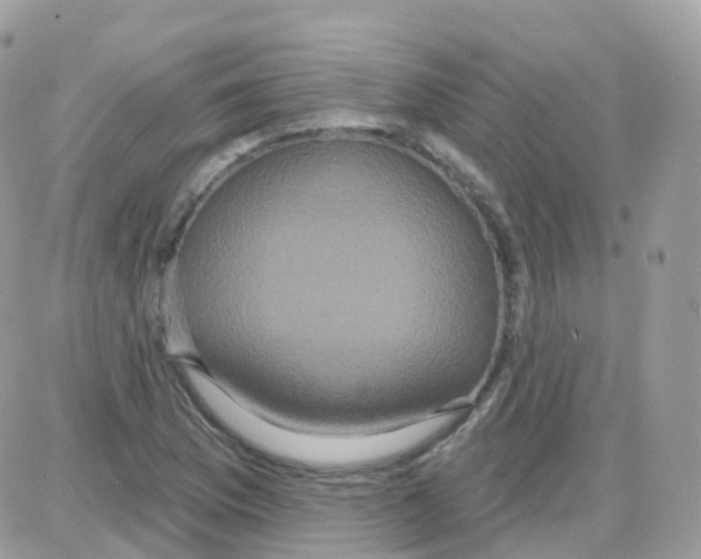 X0000087701169200706011737