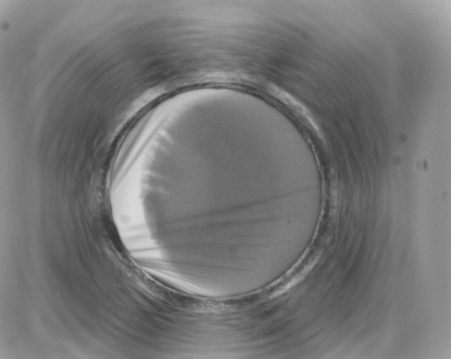 X0000087701170200706011737