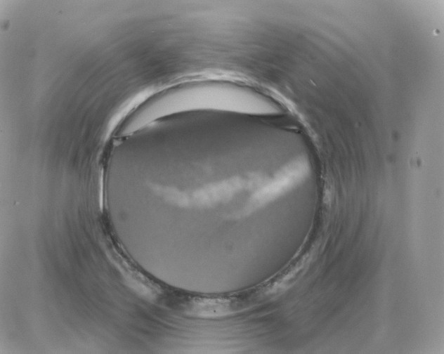 X0000087701171200706011737