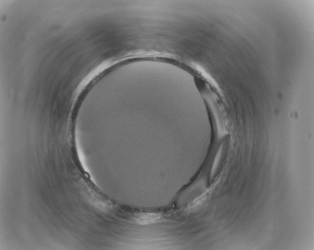 X0000087701173200706011737