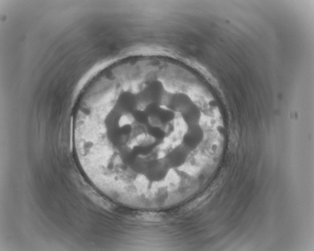 X0000087701175200706011737