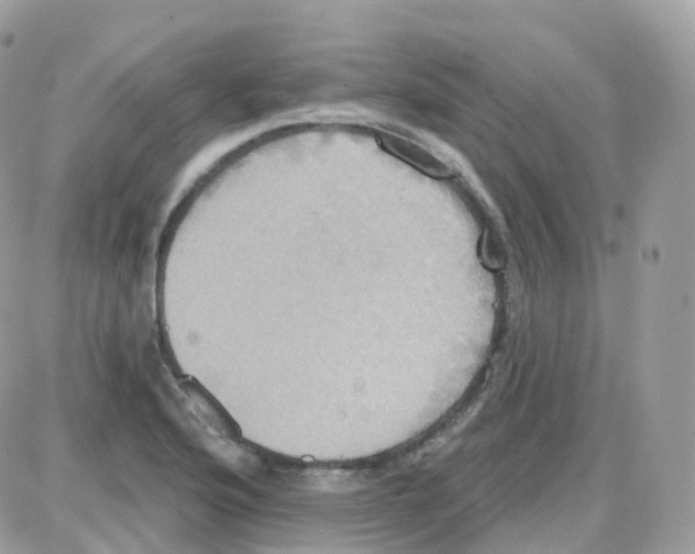 X0000087701176200706011737