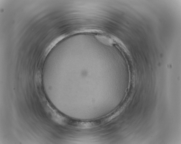 X0000087701177200706011737