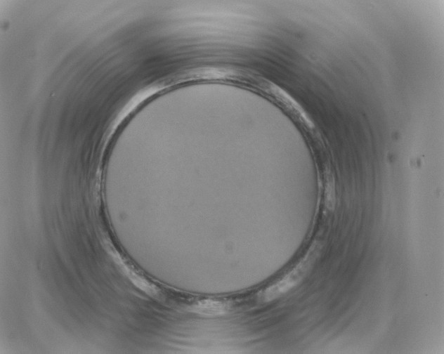 X0000087701178200706011737