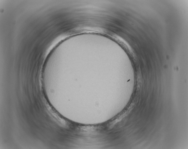 X0000087701182200706011737