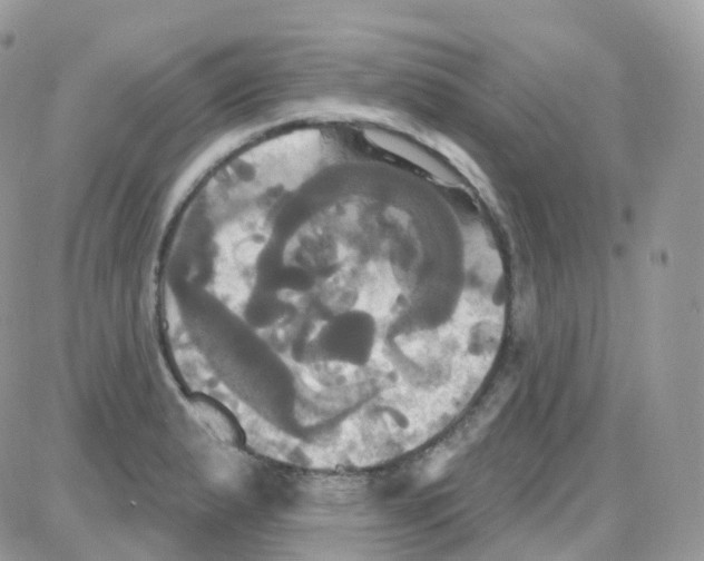 X0000087701183200706011737