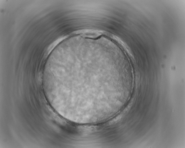 X0000087701185200706011737