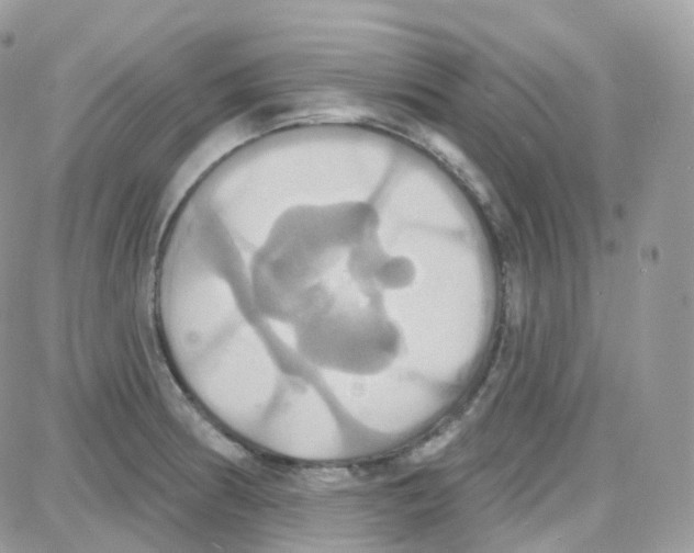 X0000087701186200706011737