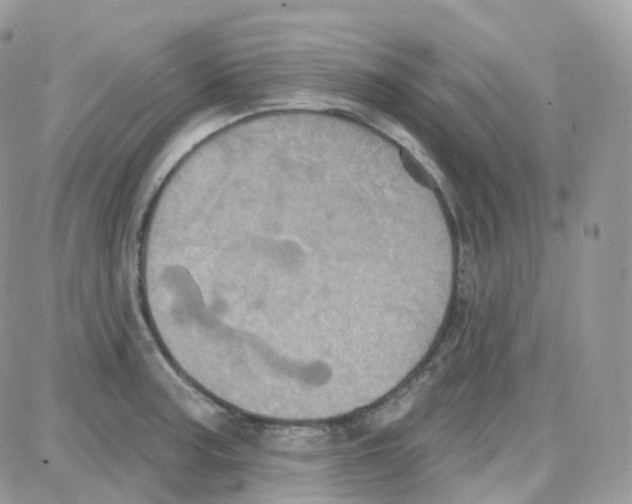 X0000087701187200706011737