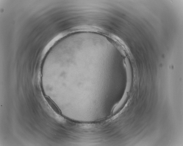 X0000087701188200706011737