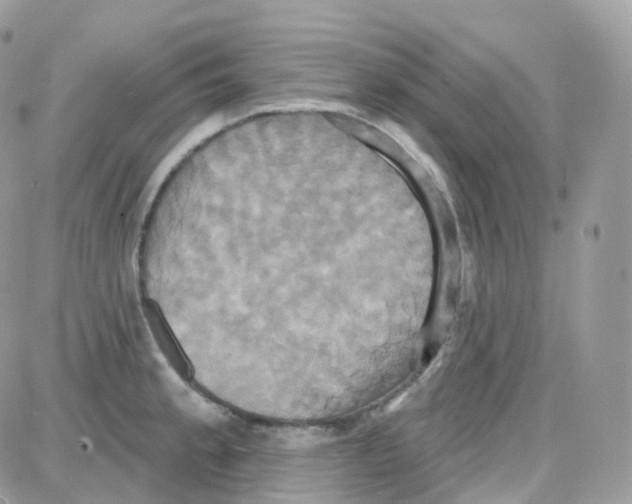 X0000087701189200706011737