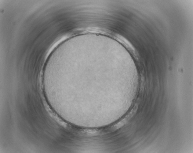 X0000087701190200706011737