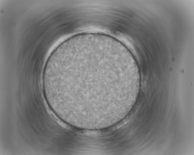 X0000087701191200706011737