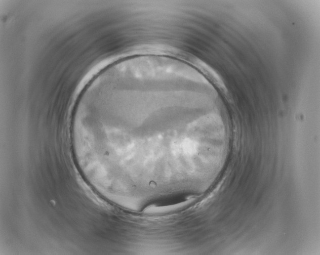 X0000087701192200706011737