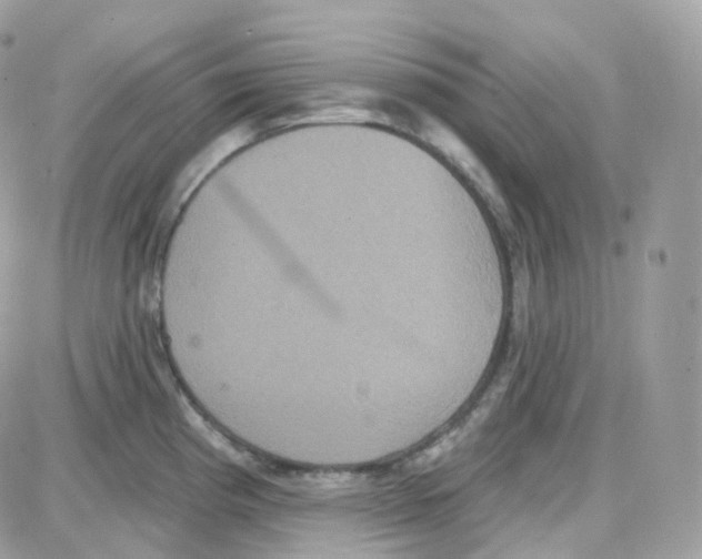 X0000087701193200706011737