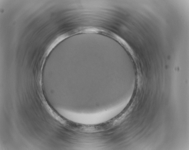 X0000087701194200706011737