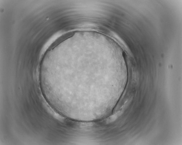 X0000087701196200706011737