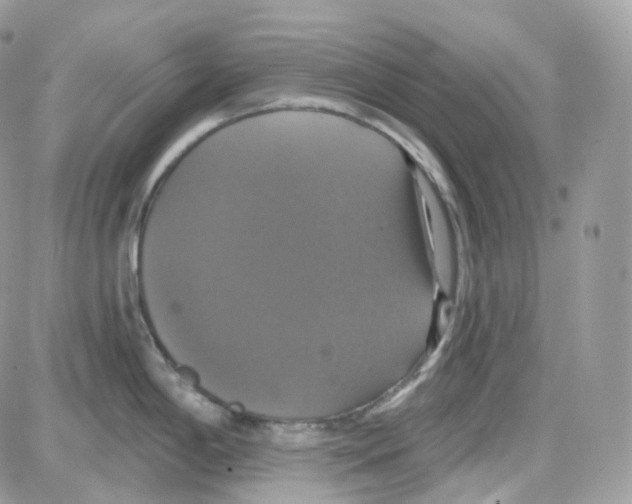 X0000087701198200706011737