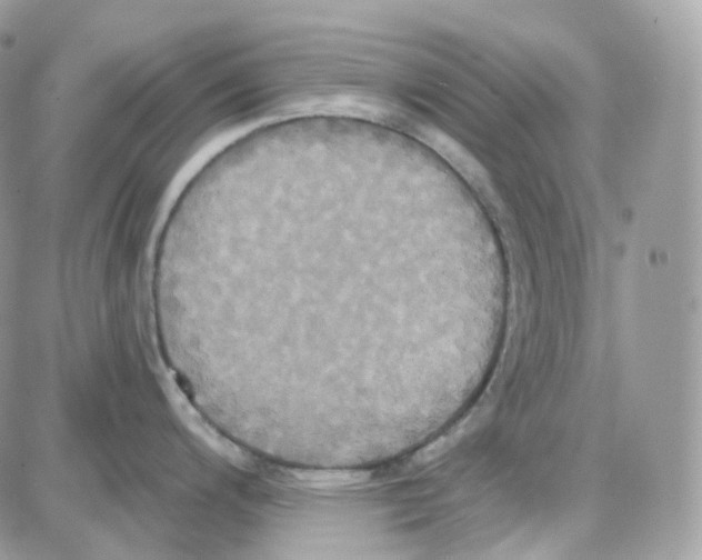 X0000087701200200706011737