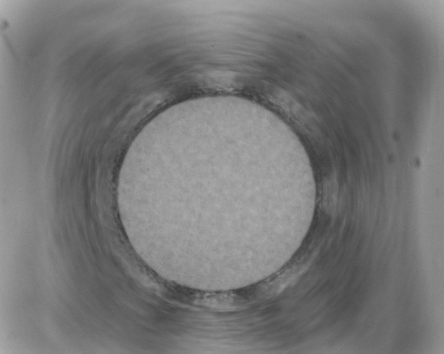 X0000087701201200706011736