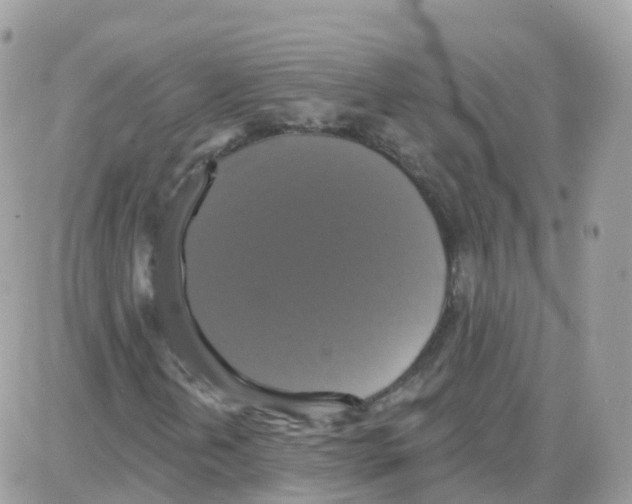 X0000087701202200706011736