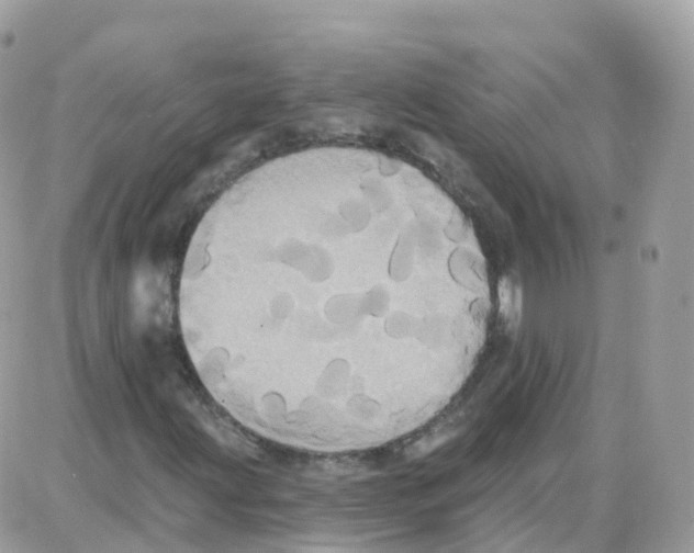 X0000087701203200706011736