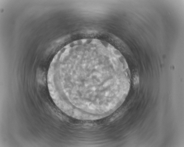 X0000087701204200706011736