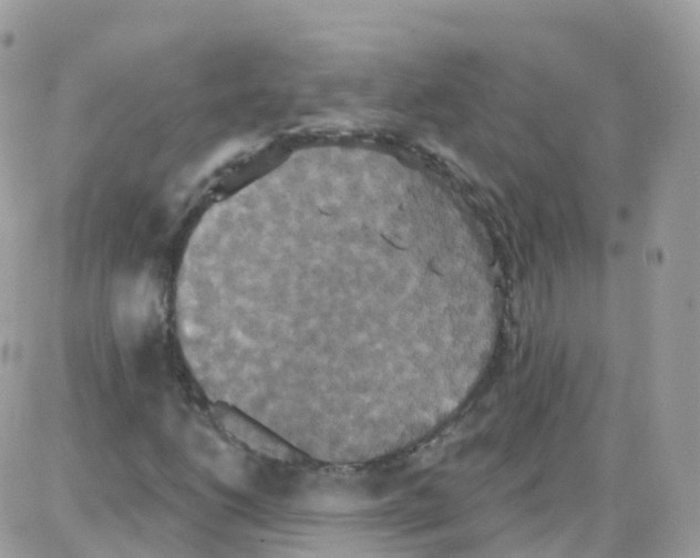 X0000087701206200706011736