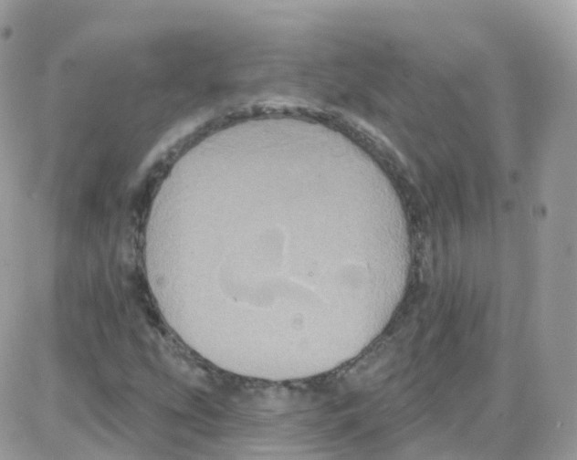 X0000087701207200706011736