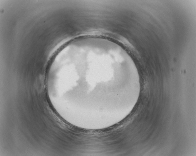 X0000087701216200706011736