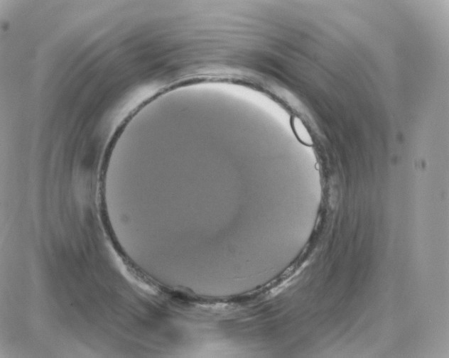 X0000087701229200706011736